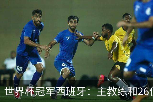 世界杯冠军西班牙：主教练和26位球员出生在哪些城市？