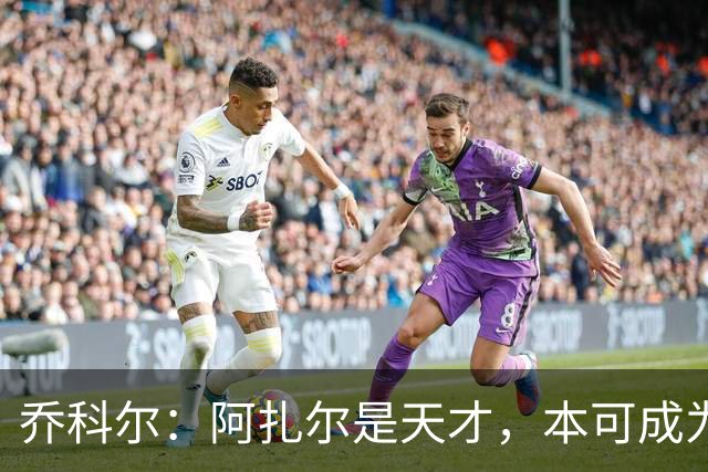 乔科尔：阿扎尔是天才，本可成为历史级巨星，但他没有梅西那股劲