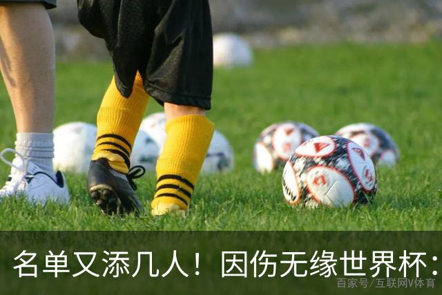名单又添几人！因伤无缘世界杯：廷伯、巴列尔迪，卡尔、韦斯利..