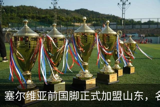 塞尔维亚前国脚正式加盟山东，名帅亲自钦点助力球队