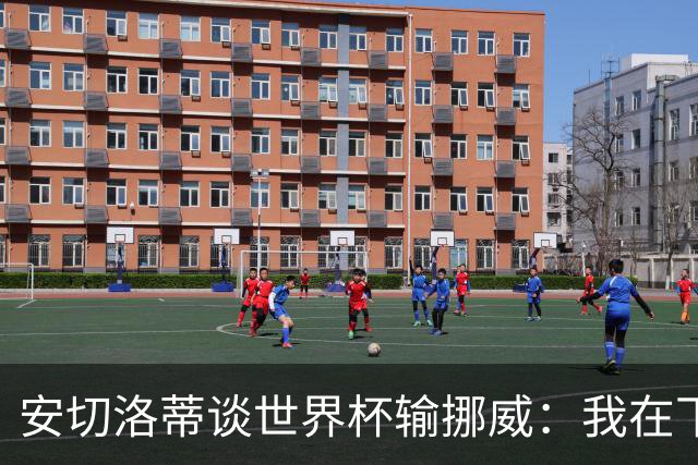 安切洛蒂谈世界杯输挪威：我在下半场补水阶段误判了局势