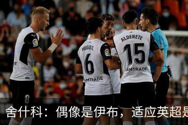 舍什科：偶像是伊布，适应英超是最难挑战，曼联理应在欧冠舞台